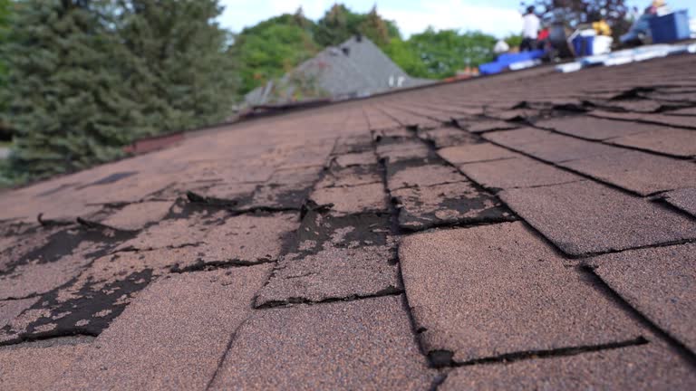 Best Roof Installation  in , WV
